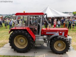 ws 319
